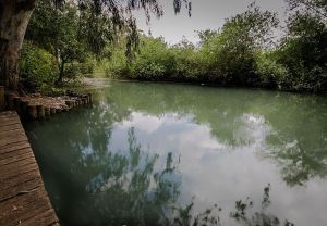 מקורות הירקון: טיול ירוק קרוב לבית